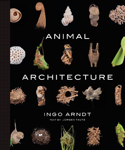 Book Cover Animal Architecture
