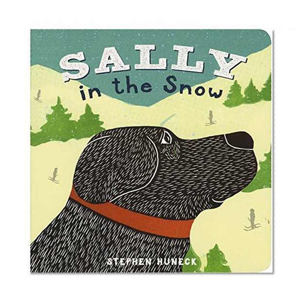 Book Cover Sally in the Snow (Sally Board Books)