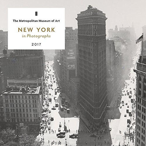 Book Cover New York in Photographs 2017 Mini Wall Calendar