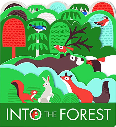 Book Cover Into the Forest