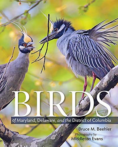 Book Cover Birds of Maryland, Delaware, and the District of Columbia