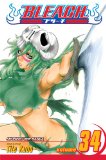 Bleach, Vol. 34