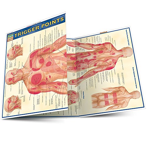Book Cover Trigger Points (Quick Study Academic)