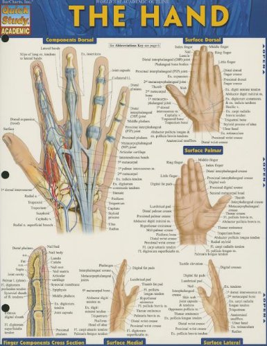 Book Cover The Hand (Quick Study Academic)