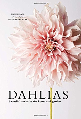 Book Cover Dahlias: Beautiful Varieties for Home & Garden