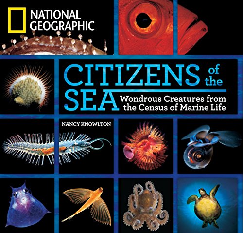 Book Cover Citizens of the Sea: Wondrous Creatures From the Census of Marine Life
