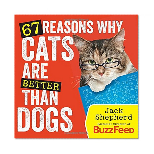 67 Reasons Why Cats Are Better Than Dogs