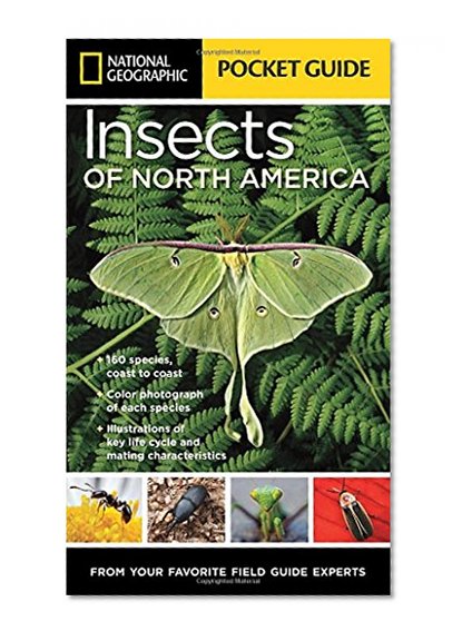 Book Cover National Geographic Pocket Guide to Insects of North America