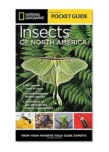 National Geographic Pocket Guide to Insects of North America