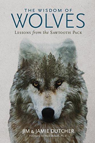 Book Cover The Wisdom of Wolves: Lessons From the Sawtooth Pack
