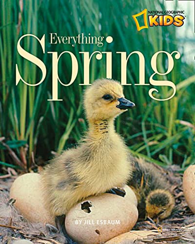 Book Cover Everything Spring (Picture the Seasons)