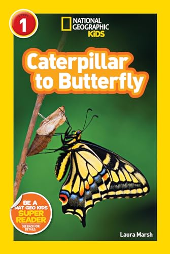 Book Cover National Geographic Readers: Caterpillar to Butterfly