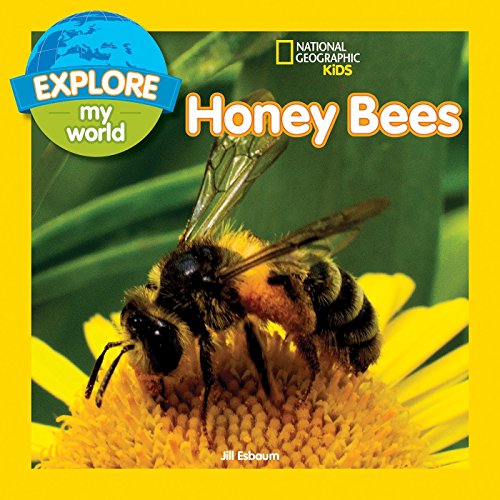 Book Cover Explore My World: Honey Bees
