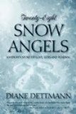Twenty-Eight Snow Angels: A Widow's Story of Love, Loss and Renewal