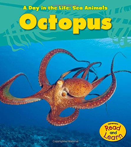 Book Cover Octopus (A Day in the Life: Sea Animals)