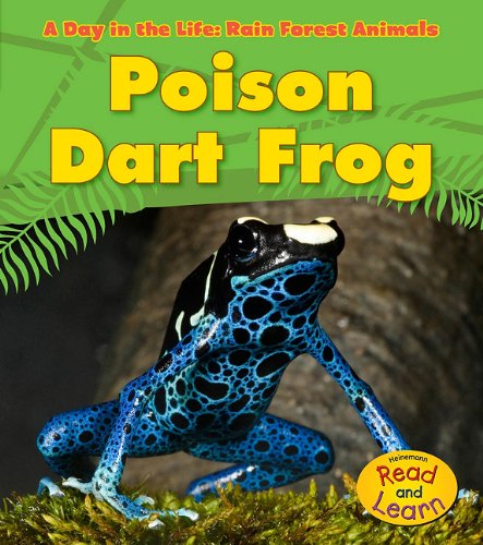 Book Cover Poison Dart Frog (A Day in the Life: Rain Forest Animals)