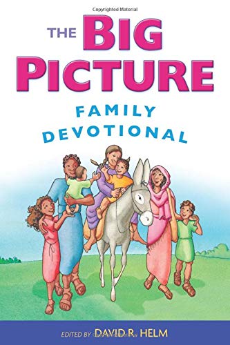 Book Cover The Big Picture Family Devotional