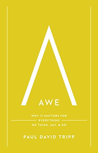 Book Cover Awe: Why It Matters for Everything We Think, Say, and Do