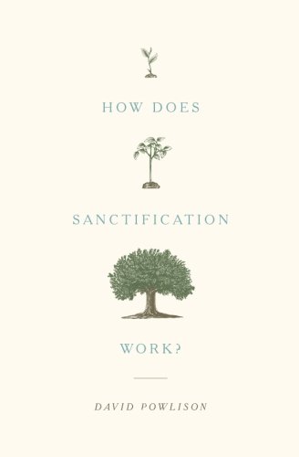 Book Cover How Does Sanctification Work?
