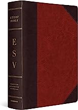Book Cover ESV Study Bible, Large Print (TruTone, Brown/Cordovan, Portfolio Design)