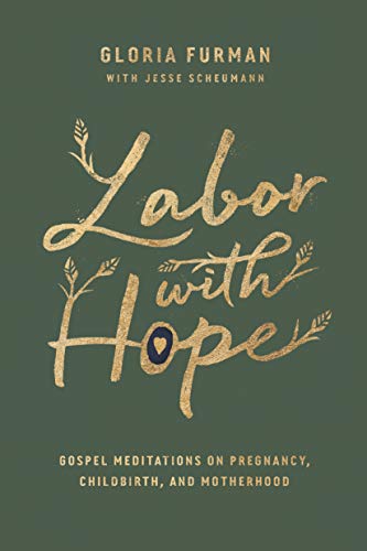 Book Cover Labor with Hope: Gospel Meditations on Pregnancy, Childbirth, and Motherhood