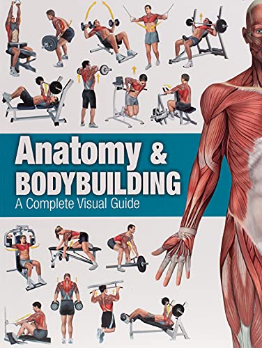 Book Cover Anatomy & Bodybuilding: A Complete Visual Guide