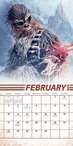 Book Cover 2019 Solo: A Star Wars Story Mini Calendar