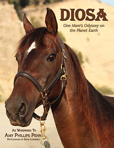 Book Cover Diosa: One Mare's Odyssey on the Planet Earth