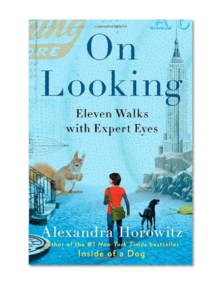 Book Cover On Looking: Eleven Walks with Expert Eyes