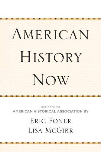 Book Cover American History Now (Critical Perspectives On The P)