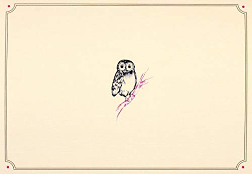 Book Cover Owl Portrait Note Cards (Stationery, Boxed Cards)