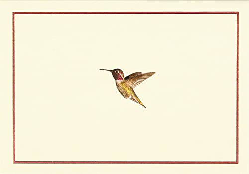 Book Cover Hummingbird Flight Note Cards (Stationery, Boxed Cards)