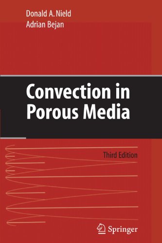 Convection in Porous Media