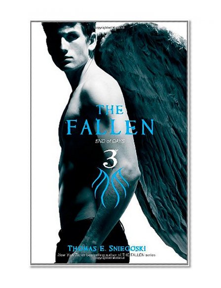 Book Cover The Fallen 3: End of Days