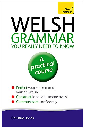 Book Cover Welsh Grammar You Really Need to Know (Teach Yourself: Language)