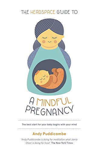 Book Cover The Headspace Guide To...A Mindful Pregnancy