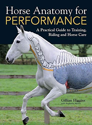Book Cover Horse Anatomy for Performance