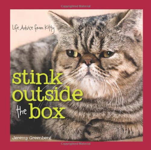 Book Cover Stink Outside the Box: Life Advice from Kitty