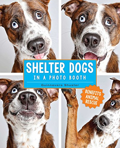 Book Cover Shelter Dogs in a Photo Booth