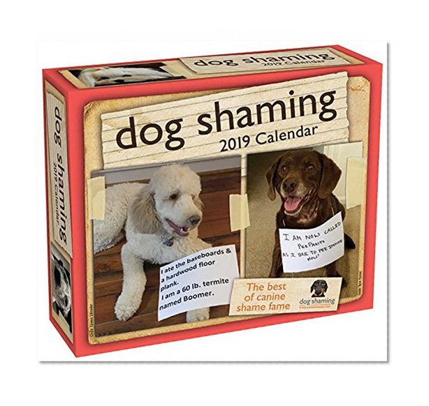 Book Cover Dog Shaming 2019 Day-to-Day Calendar