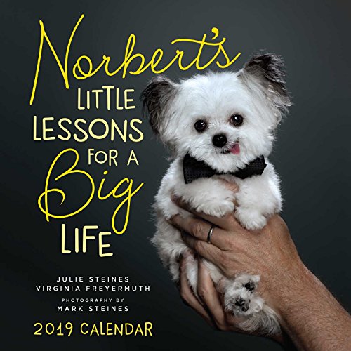 Book Cover Norbert's Little Lessons for a Big Life 2019 Wall Calendar