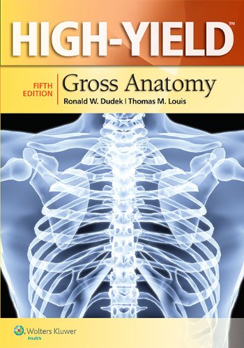 Book Cover High-Yield Gross Anatomy (High-Yield Series)