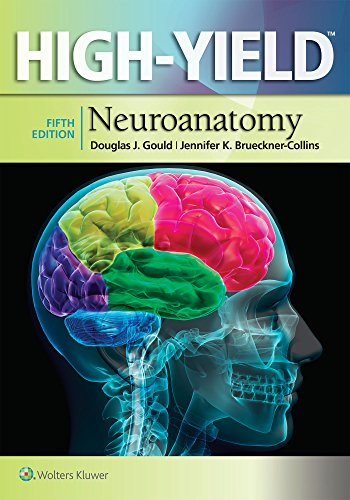 Book Cover High-Yieldâ„¢ Neuroanatomy (High-Yield Series)