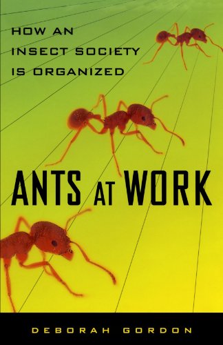 Book Cover Ants At Work: How An Insect Society Is Organized