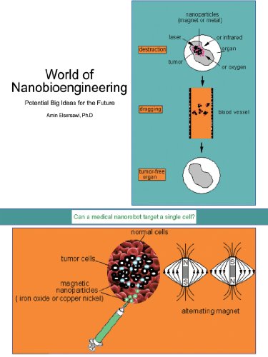 Book Cover World of Nanobioengineering: Potential Big Ideas for the Future