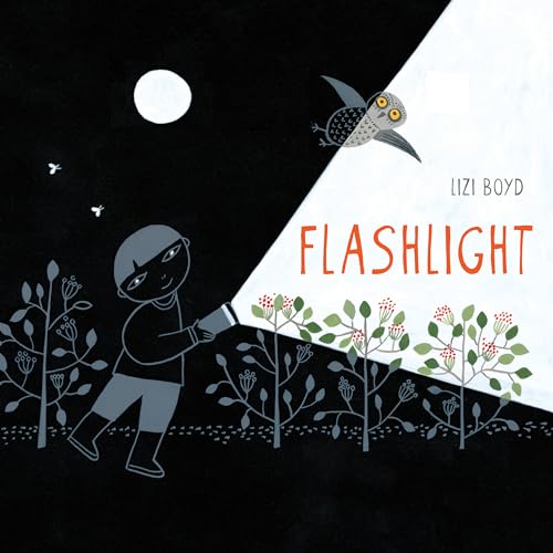 Book Cover Flashlight: (Picture Books, Wordless Books for Kids, Camping Books for Kids, Bedtime Story Books, Children's Activity Books, Children's Nature Books)