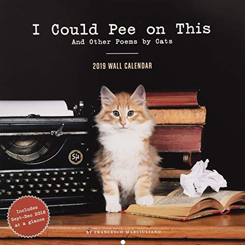 Book Cover I Could Pee on This 2019 Wall Calendar
