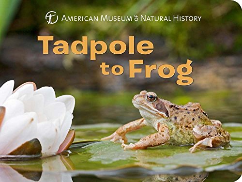 Book Cover Tadpole to Frog (Science for Toddlers)