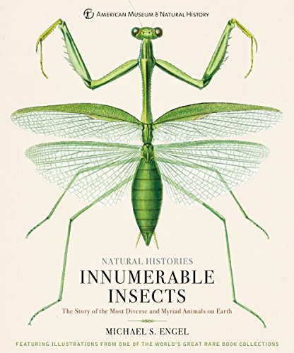 Book Cover Innumerable Insects: The Story of the Most Diverse and Myriad Animals on Earth (Natural Histories)