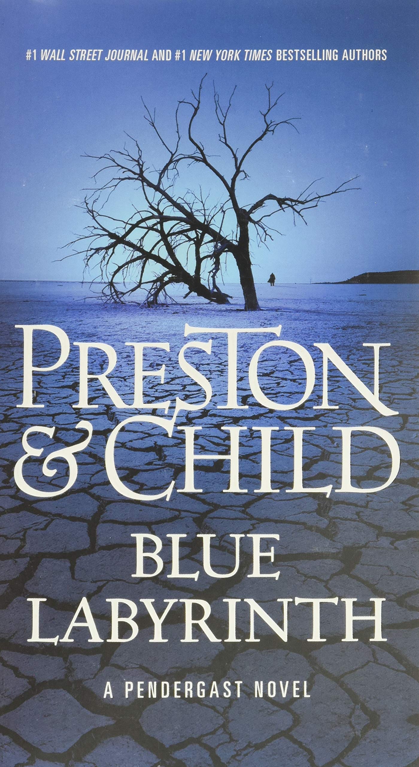 Book Cover Blue Labyrinth (Agent Pendergast Series, 14)